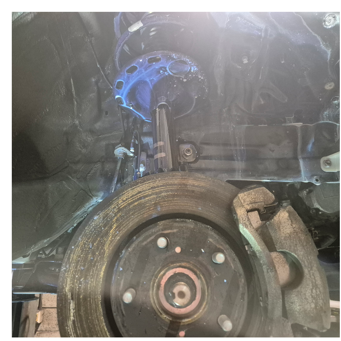 Car brake rotor, caliper, and suspension strut